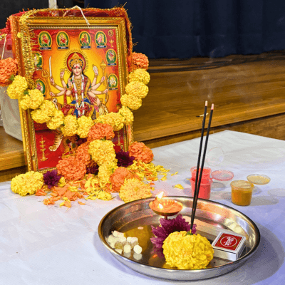 TernaGBS Festival Vibe 5